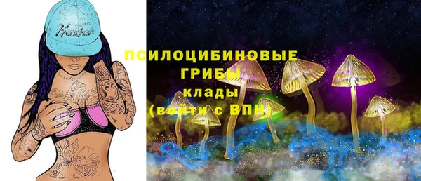 Альфа ПВП Белокуриха