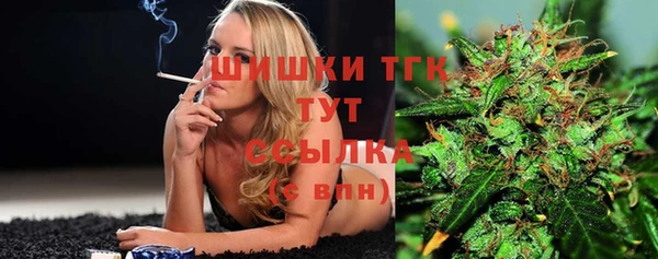 Альфа ПВП Белокуриха
