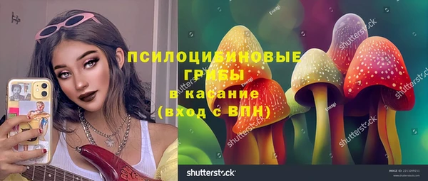 стафф Балабаново