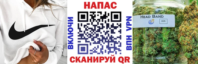 где найти   Шарья  Марихуана сатива 